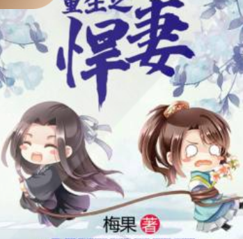 《重生之悍妻》有声小说下载（全集） 播讲_广东畅读_百度网盘-听书迷