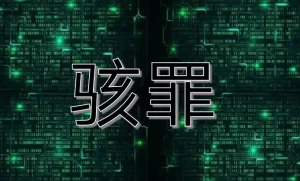 《骇罪Ⅰ:疯狂的代码》播讲_阑珊梦【完结】