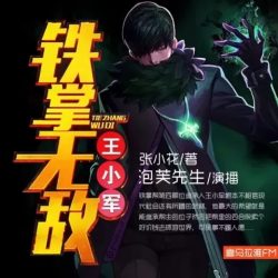 《铁掌无敌王小军》有声小说 播讲_刘忙[完结]-听书迷