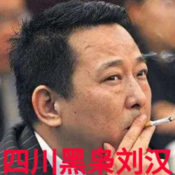 《四川黑枭刘汉》有声小说-演播:准备选村长【完结】-听书迷