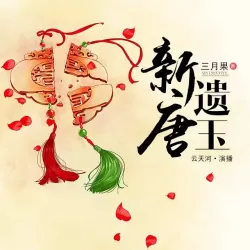 《新唐遗玉》有声小说-播音:云天河【完结】-听书迷