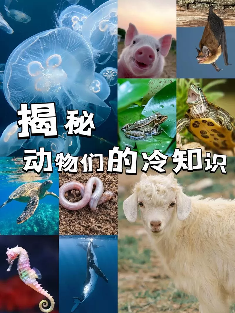 【有声小说/有声书/有声剧】《动物的100个秘密 》3-6岁儿童科普知识丨100个秘密科普馆-听书迷