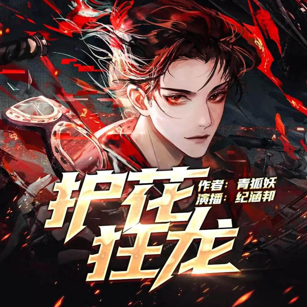 有声小说《护花狂龙》著：青狐妖 播：纪涵邦 2560集完-听书迷