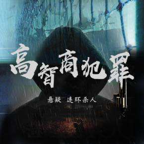 【白夜剧场】高智商犯罪 | 紫金陈“谋杀官员”精品有声剧_阿里网盘