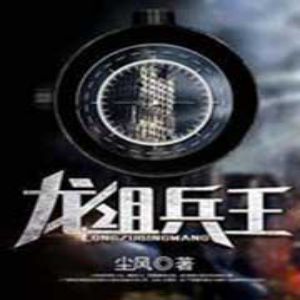 龙组兵王有声小说全集_扶耳马林播讲 龙组兵王有声小说全集_扶耳马林播讲
